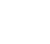 公演日程