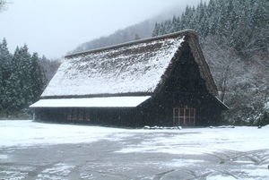 20100205100233eLqerQ9c.jpg