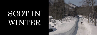 SCOT IN WINTER 公開